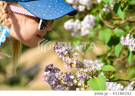 A girl in the park smells lilac flowers on a tree A girl in the park smells lilac flowers on a tree 43280292