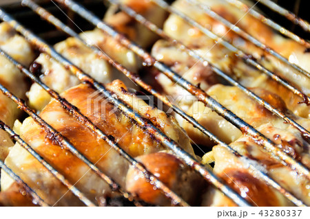 Chicken grilled on a bonfire closeup on a picnic Chicken grilled on a bonfire closeup on a picnic 43280337