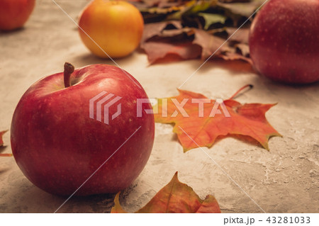 Red ripe apple on gray background with maple leaf 43281033