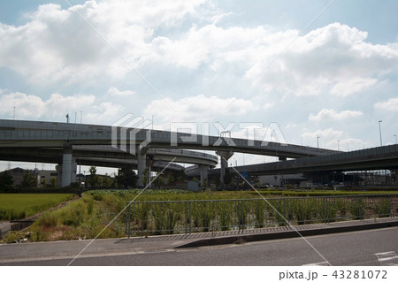 阪神高速　松原JCT 43281072