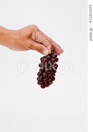 ぶどう ぶどう 43281074