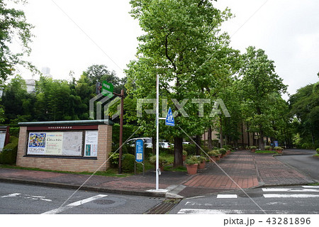 町田市立国際版画美術館 町田市立国際版画美術館 43281896
