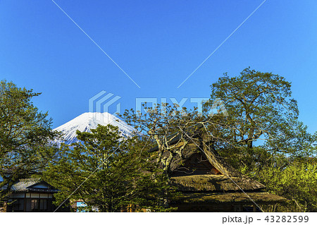 古民家と富士山・忍野八海, 古民家と富士山・忍野八海, 43282599