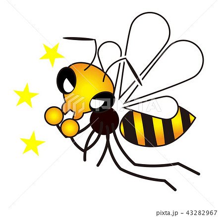 スズメバチのイラスト スズメバチのイラスト 43282967