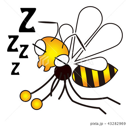 スズメバチのイラスト スズメバチのイラスト 43282969