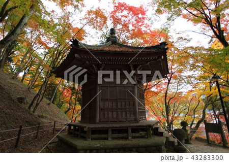 紅葉と太子堂 紅葉と太子堂 43283300