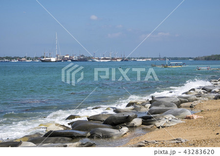 バリ島 サヌールビーチ インドネシア 43283620