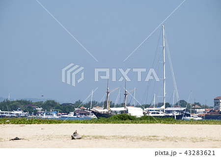 バリ島 サヌールビーチ インドネシア 43283621
