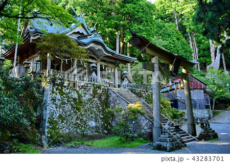 熊野三山・奥の宮 玉置神社 御本殿 & 鳥居 (奈良県 吉野郡 十津川村 ) 熊野三山・奥の宮 玉置神社 御本殿 & 鳥居 (奈良県 吉野郡 十津川村 ) 43283701