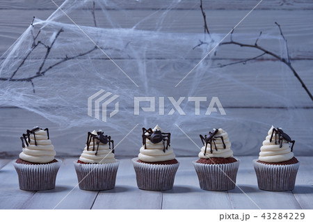 Halloween cupcakes with chocolate spiders on white planks in moonlight Halloween cupcakes with chocolate spiders on white planks in moonlight 43284229