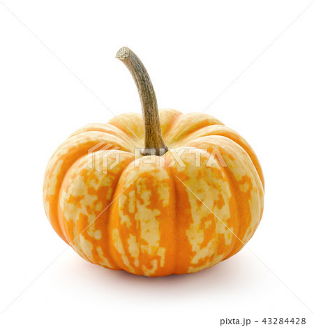 Small pumpkin with orange stripes isolated on white 43284428