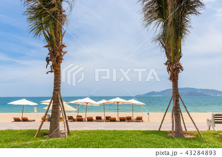 Nha Trang beach, Vietnam 43284893