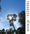 夏空 43284981