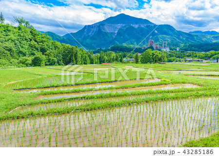 寺坂棚田 43285186