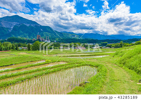 寺坂棚田 43285189