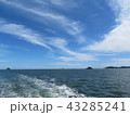 夏 43285241