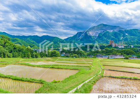 寺坂棚田 寺坂棚田 43285324