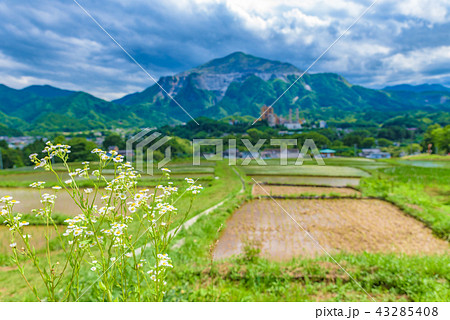 棚田の風景 43285408
