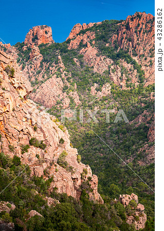 Vertical photo of Calanques de Piana 43286162