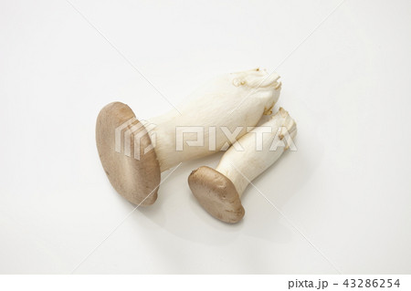 えりんぎ 43286254