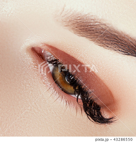 Beautiful Woman. Body care, makeup, beauty girl 43286550