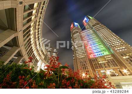 【東京都庁】 ライトアップ 43289284
