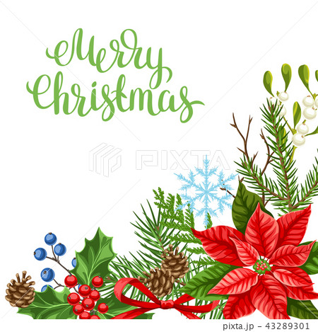 Greeting card with winter plants. 43289301