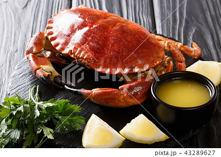 Delicious traditional boiled whole brown crab Delicious traditional boiled whole brown crab 43289627