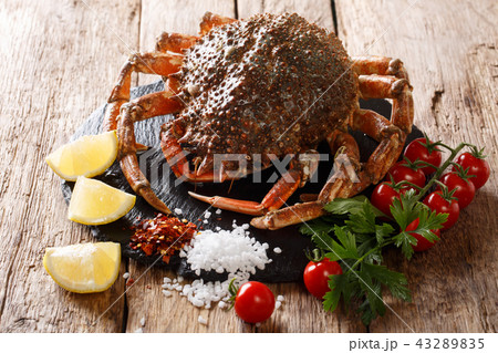 Seafood background 43289835