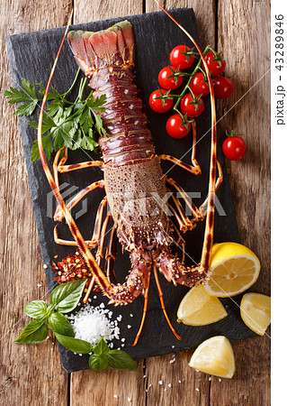 Raw spiny lobster with tomato, lemon and herbs Raw spiny lobster with tomato, lemon and herbs 43289846