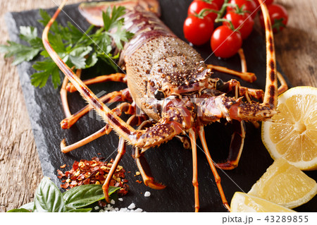 Raw spiny lobster with tomato, lemon and herbs Raw spiny lobster with tomato, lemon and herbs 43289855
