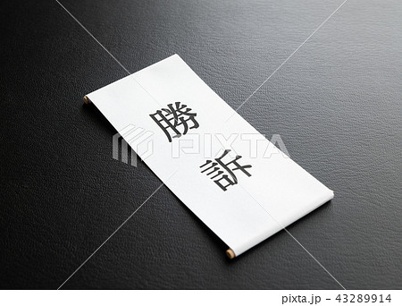 勝訴　司法　裁判　びろーん 43289914