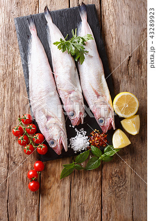 Raw Mediterranean Phycis phycis, or forkbeard fish 43289923
