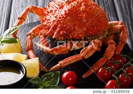 Luxurious boiled spider crab 43289936