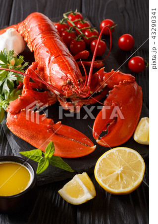 Served whole red lobster close-up with lemon Served whole red lobster close-up with lemon 43290341