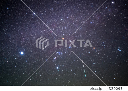 《ふたご座流星群》 ふたご座流星群とオリオン座 《ふたご座流星群》 ふたご座流星群とオリオン座 43290934
