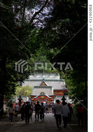 霧島神社 43290968