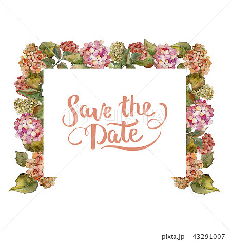 Watercolor red and yellow gortenzia flower. Floral botanical flower. Frame border ornament square. 43291007