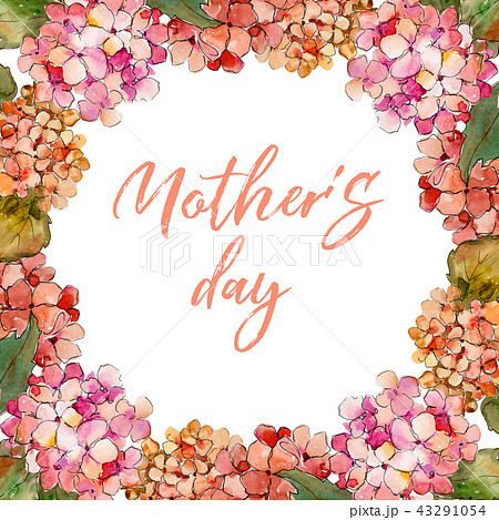 Watercolor red and yellow gortenzia flower. Floral botanical flower. Frame border ornament square. Watercolor red and yellow gortenzia flower. Floral botanical flower. Frame border ornament square. 43291054