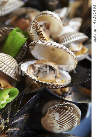 韓国の貝料理 コマク チョゲクイ 韓国の貝料理 コマク チョゲクイ 43291493