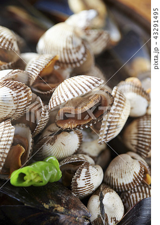 韓国の貝料理 コマク チョゲクイ 韓国の貝料理 コマク チョゲクイ 43291495