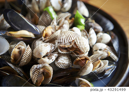 韓国の貝料理 コマク チョゲクイ 韓国の貝料理 コマク チョゲクイ 43291499