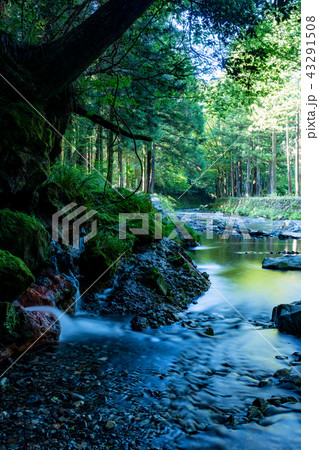 （静岡県）陣馬の滝・五斗目木川 43291508