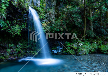 (静岡県)陣馬の滝 (静岡県)陣馬の滝 43291509