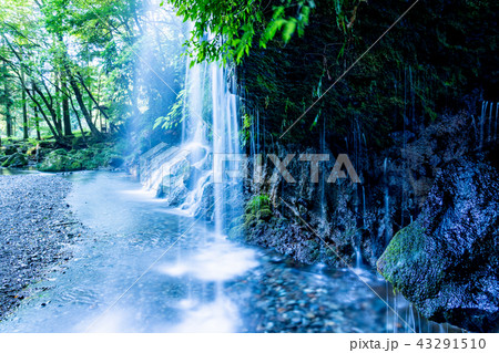 （静岡県）陣馬の滝 43291510