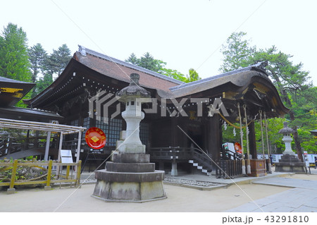 【山梨県】甲斐武田神社・拝殿 43291810