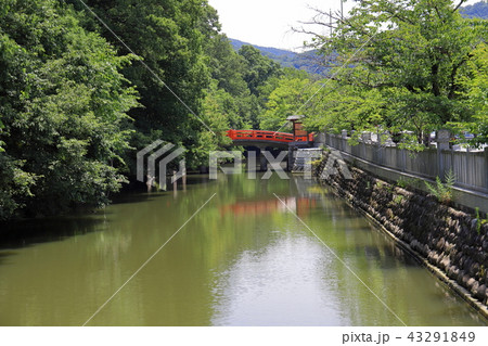 【山梨県】甲斐武田神社・お堀と神橋 43291849