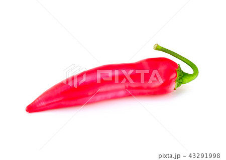 red hot chili pepper isolated on a white background red hot chili pepper isolated on a white background 43291998