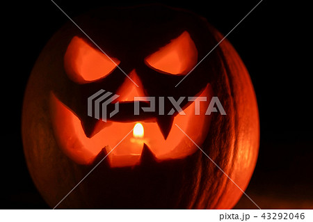 Orange mad pumpkin as head of Jack-o-lantern with carved eyes and wicked smirk. Scary symbol of Orange mad pumpkin as head of Jack-o-lantern with carved eyes and wicked smirk. Scary symbol of 43292046
