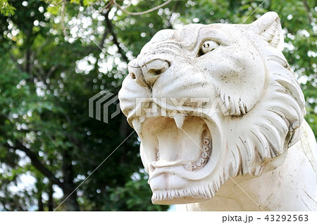 虎の像 A statue of a tigerの写真素材 [43292563] - PIXTA